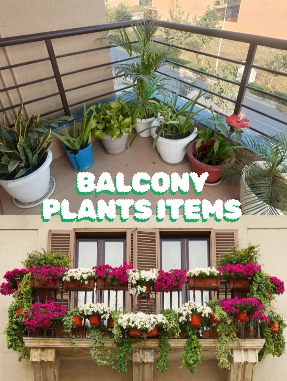 Balcony Plants Items