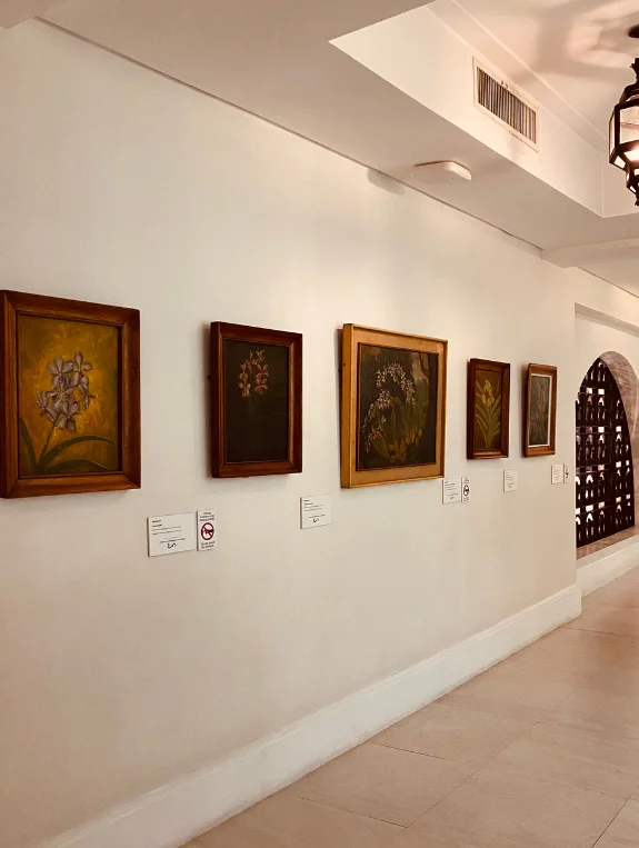 Gallery Walls