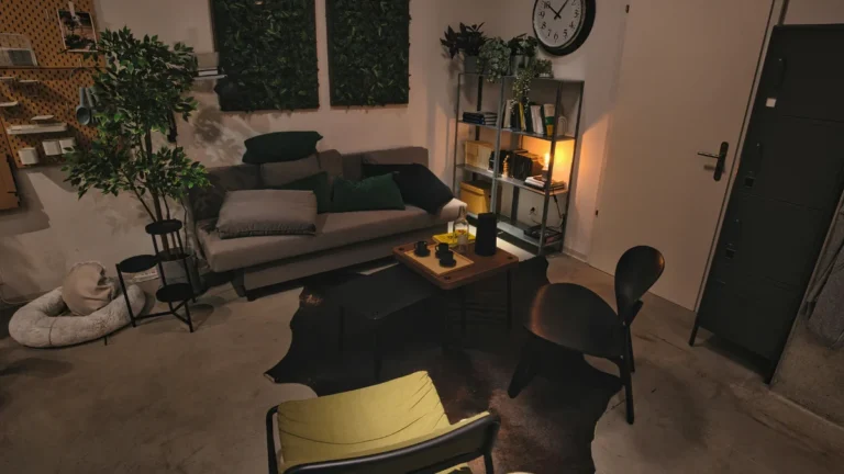 Apartment Living Room Ideas for Low Light Spaces With Plants That Actually Work