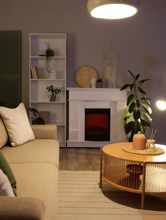 Best Apartment Living Room Ideas for Low Light Spaces With Plants