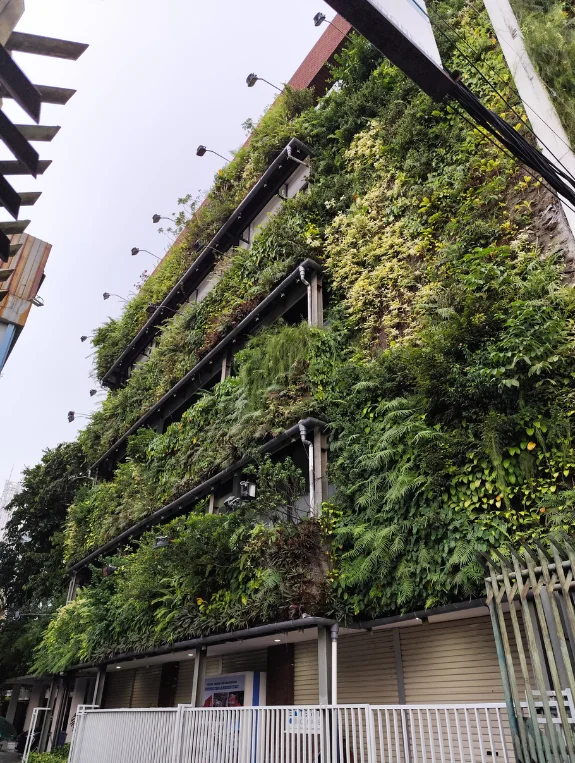 Biophilic Design Works in Urban Apartments