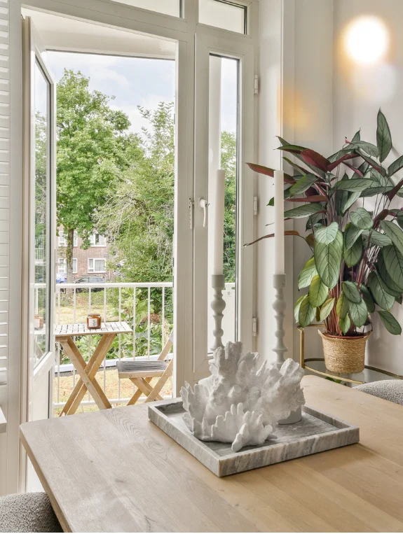 Lighting and Plants — The Two Details That Do the Most Cozy Work