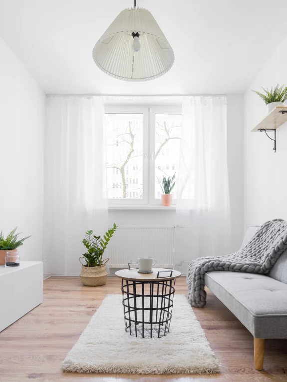 Narrow Living Room Couch Problem