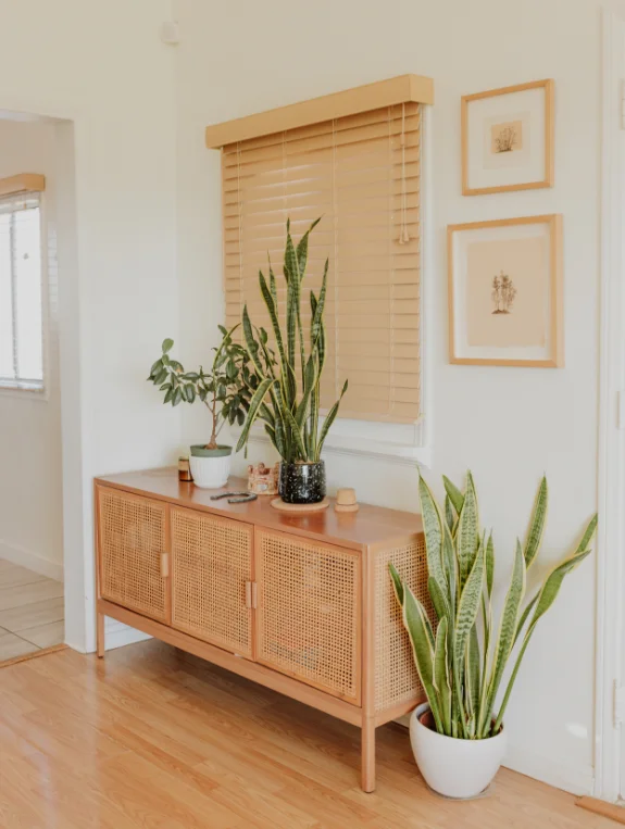 Rental Safe Wall