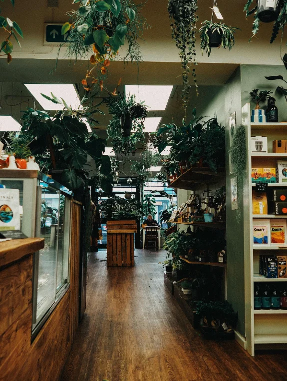 The Colors and Textures That Support Biophilic Design