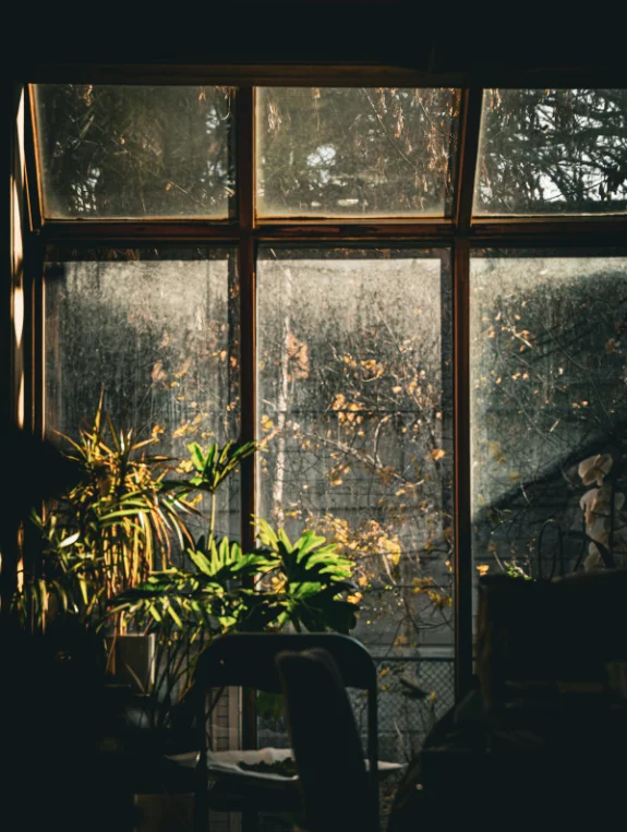 The Lighting That Creates the Moody Atmosphere