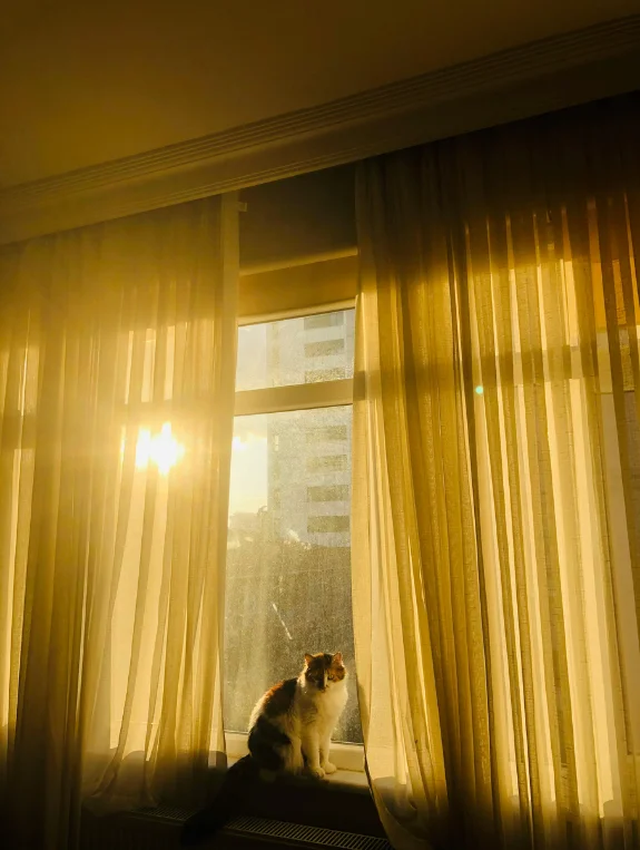 The Low Light Apartment Problem Nobody Warned You About