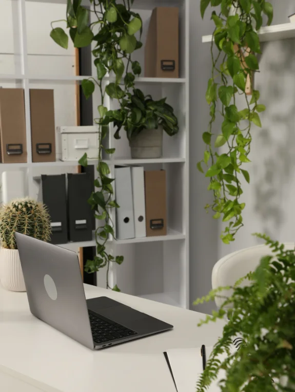 The Material Choices That Make Biophilic Design Feel Authentic