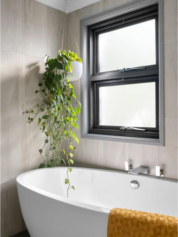 The Plant and Natural Element That Completes the Spa Feeling
