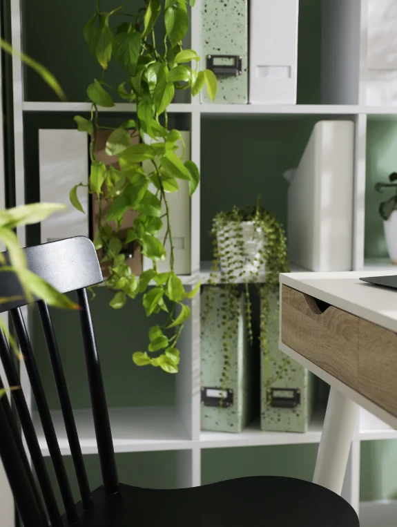 The Practical Biophilic Living Room That Actually Works Long Term