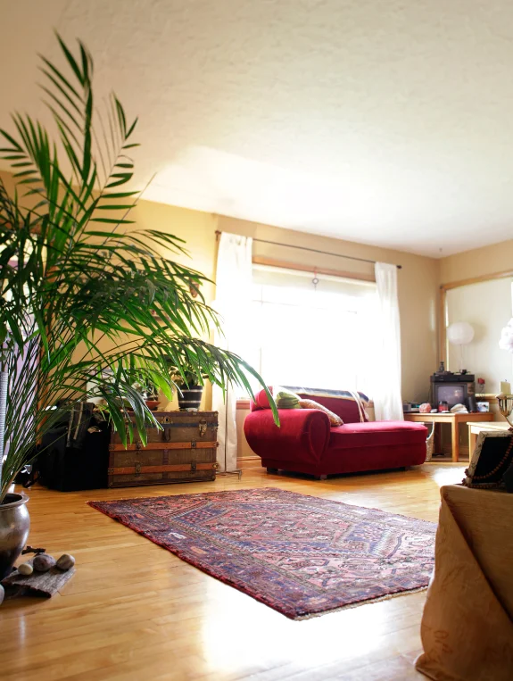 Where to Shop for Moody Living Room Design in the USA