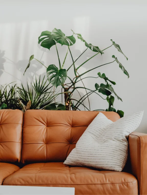 Worst Sofa Decision You Make for Your ApartmentApartment Walls