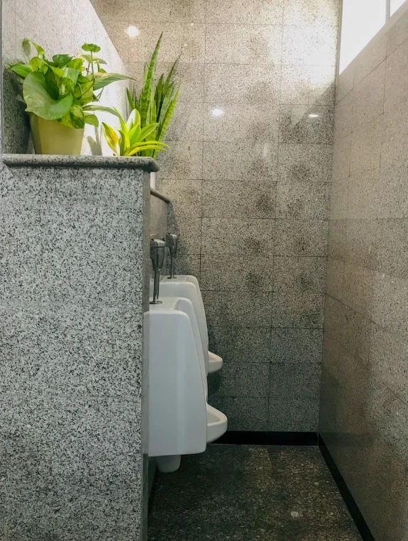 The Care Routine That Keeps the Botanical Bathroom Thriving