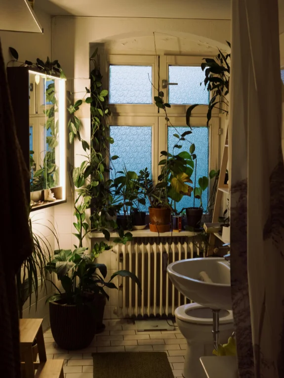 The Plants and Elements That Create Botanical Bathroom Aesthetic