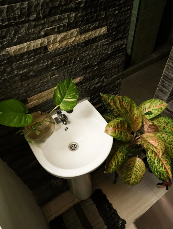 The Practical Botanical Bathroom Setup for Every Apartment Situation