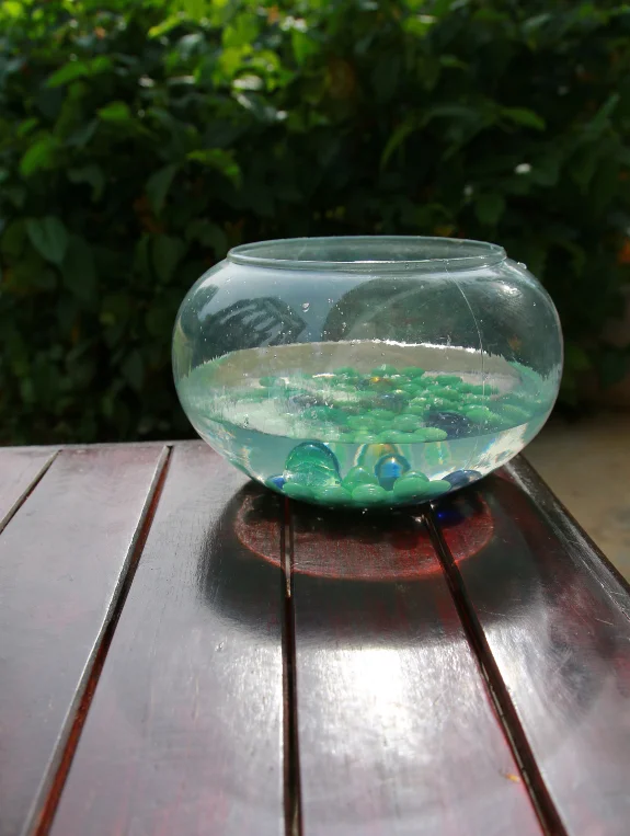 Mistake 3 — No Privacy Creating a Fishbowl Feeling