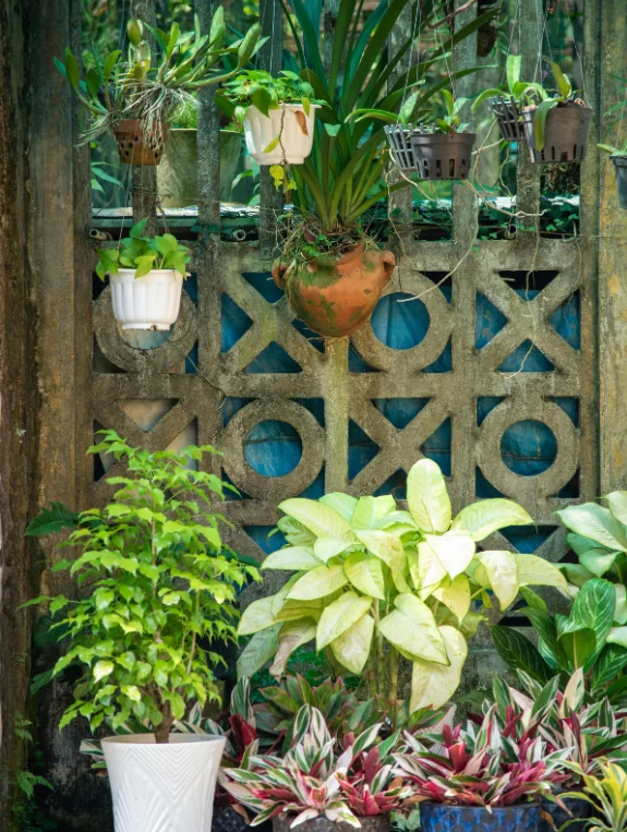 Weatherproof Planters That Last for Years