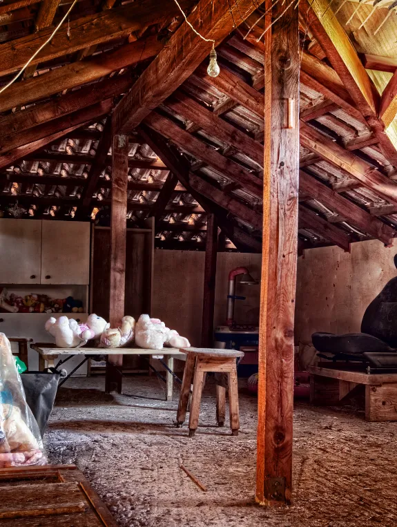 Where to Find Professional Attic Renovation Guidance